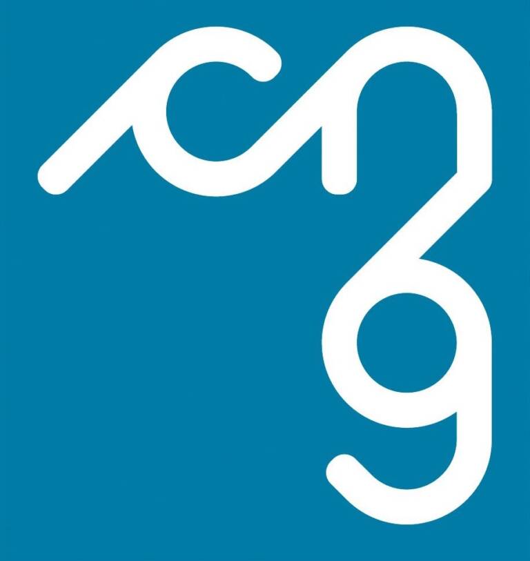 Presentazione degli standard di qualità delle attività professionali dei geometri